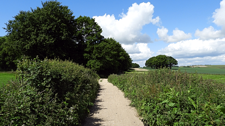 The path to Hyden Cross