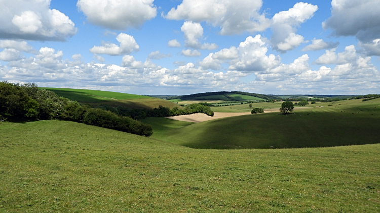 Coombe Down