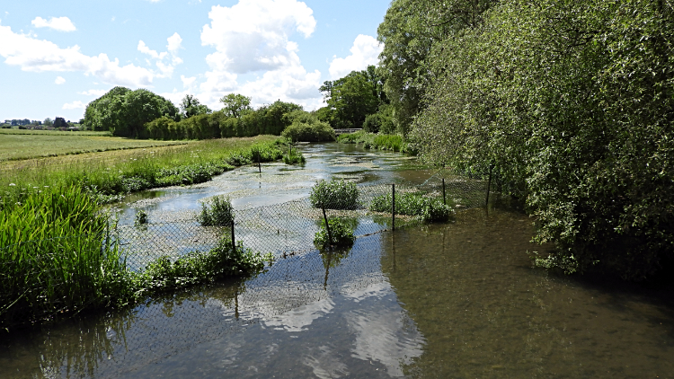 River Meon at Exton