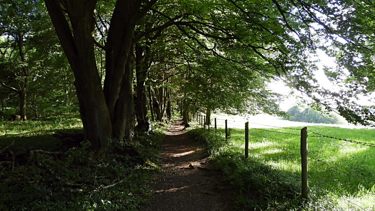 Great Clump, Cheesefoot Head