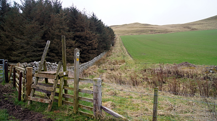 Climbing to the Cheviot Hills