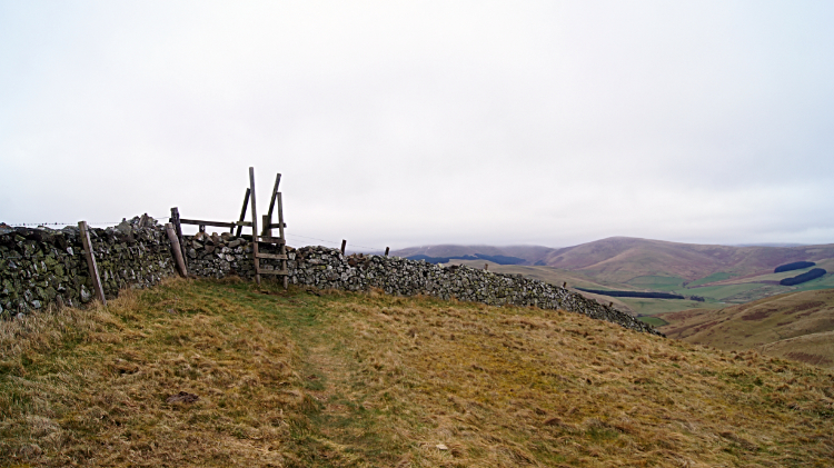 Crossing the Northern Cheviots