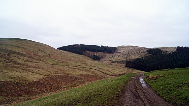 Track to Elsdonburn