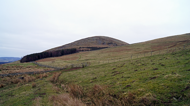 Approaching Yeavering Bell