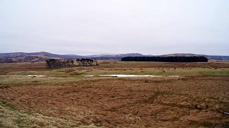 Wild uplands near Black Law