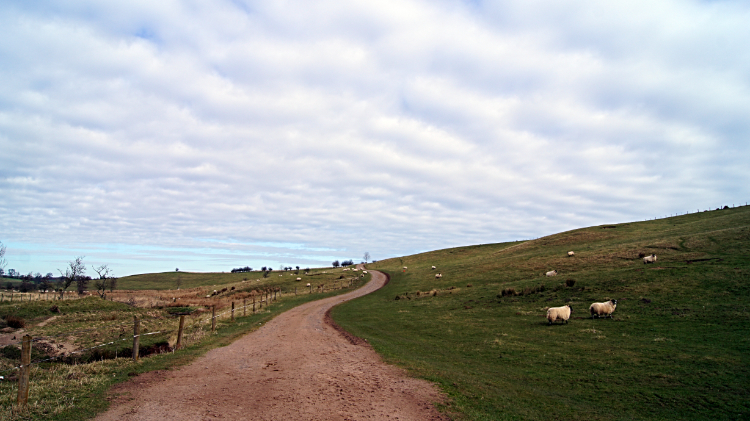 Near Hetton Burn