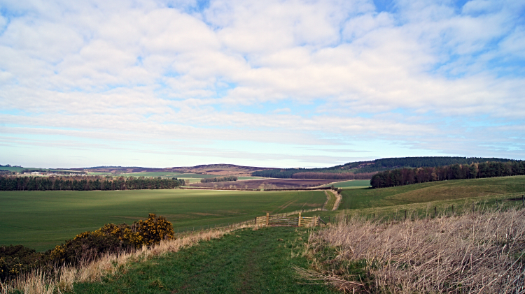 Fields at North Hazelrigg