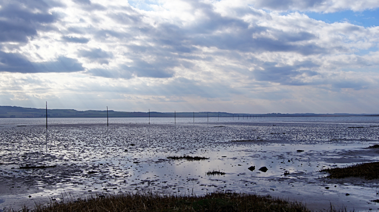 The Pilgrim's Path to Lindisfarne