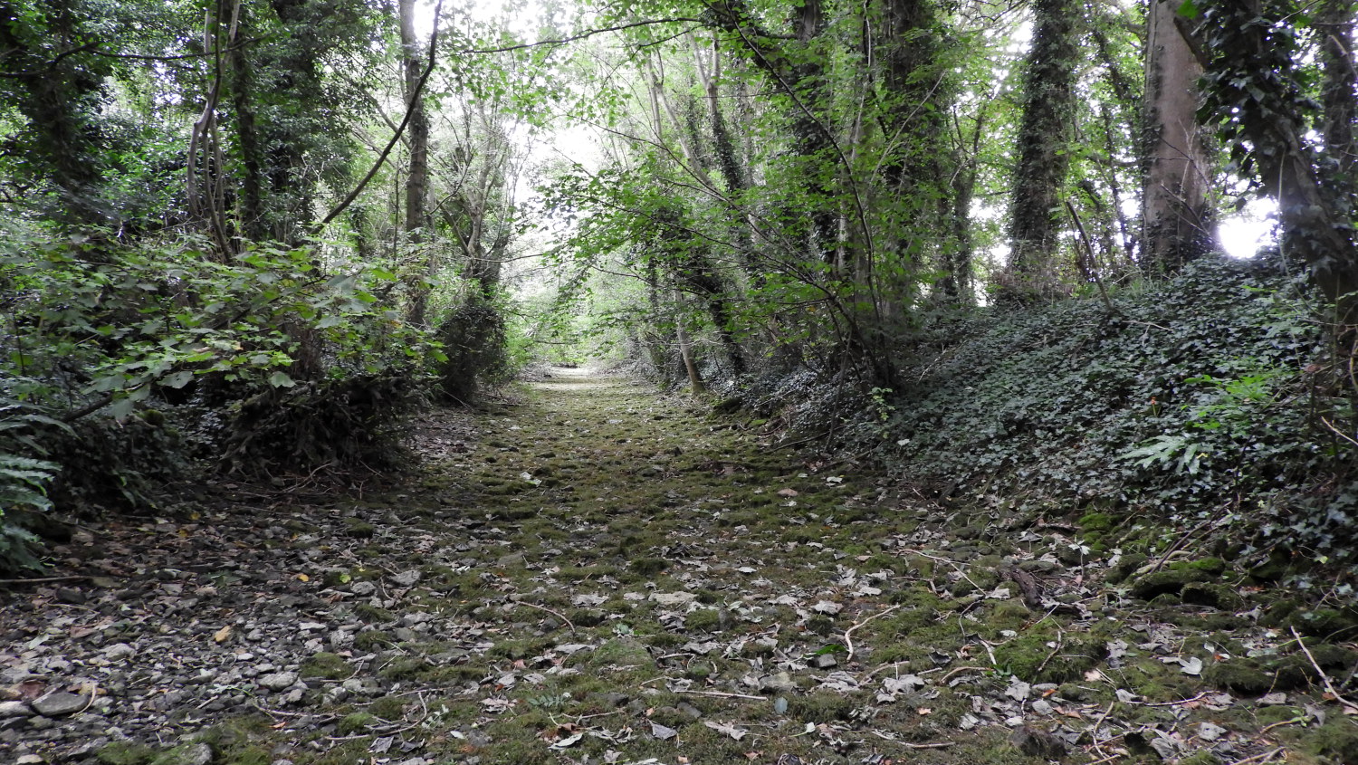 Dry riverbed of the Thames