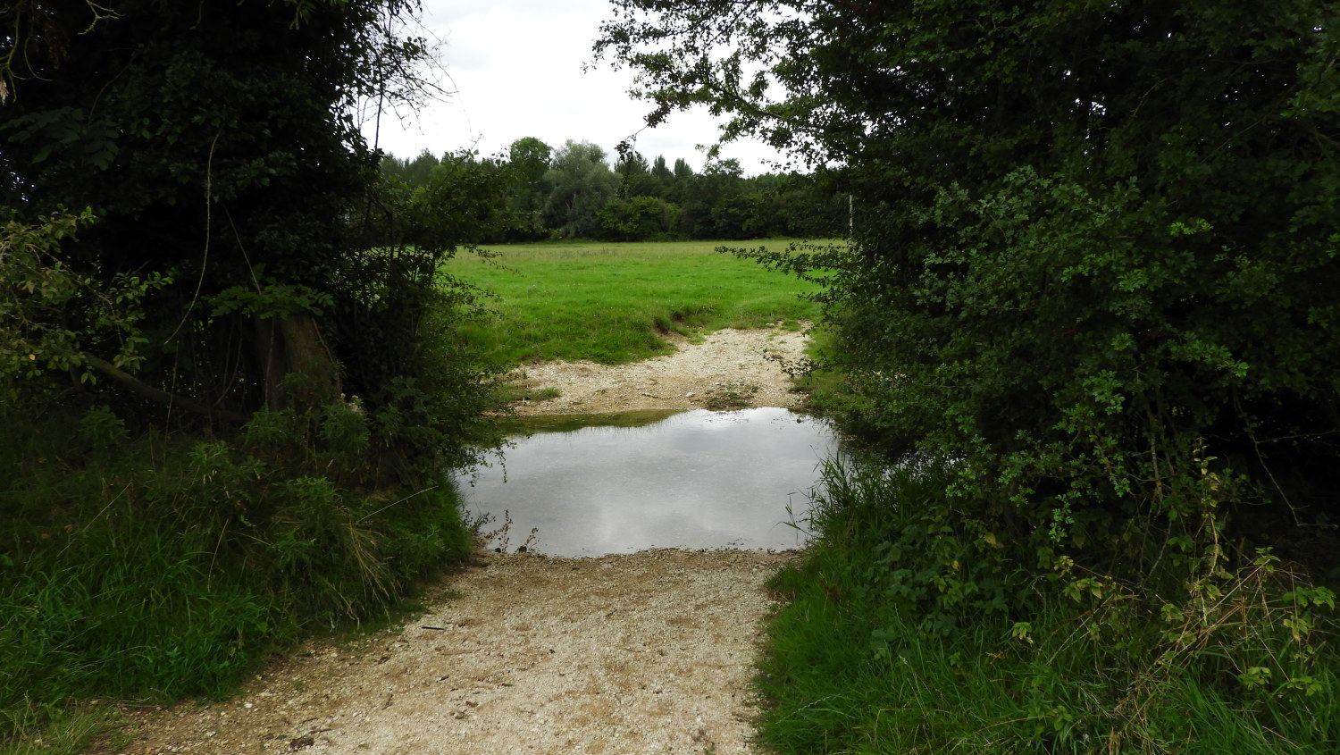 The Thames was just a puddle near Ewen