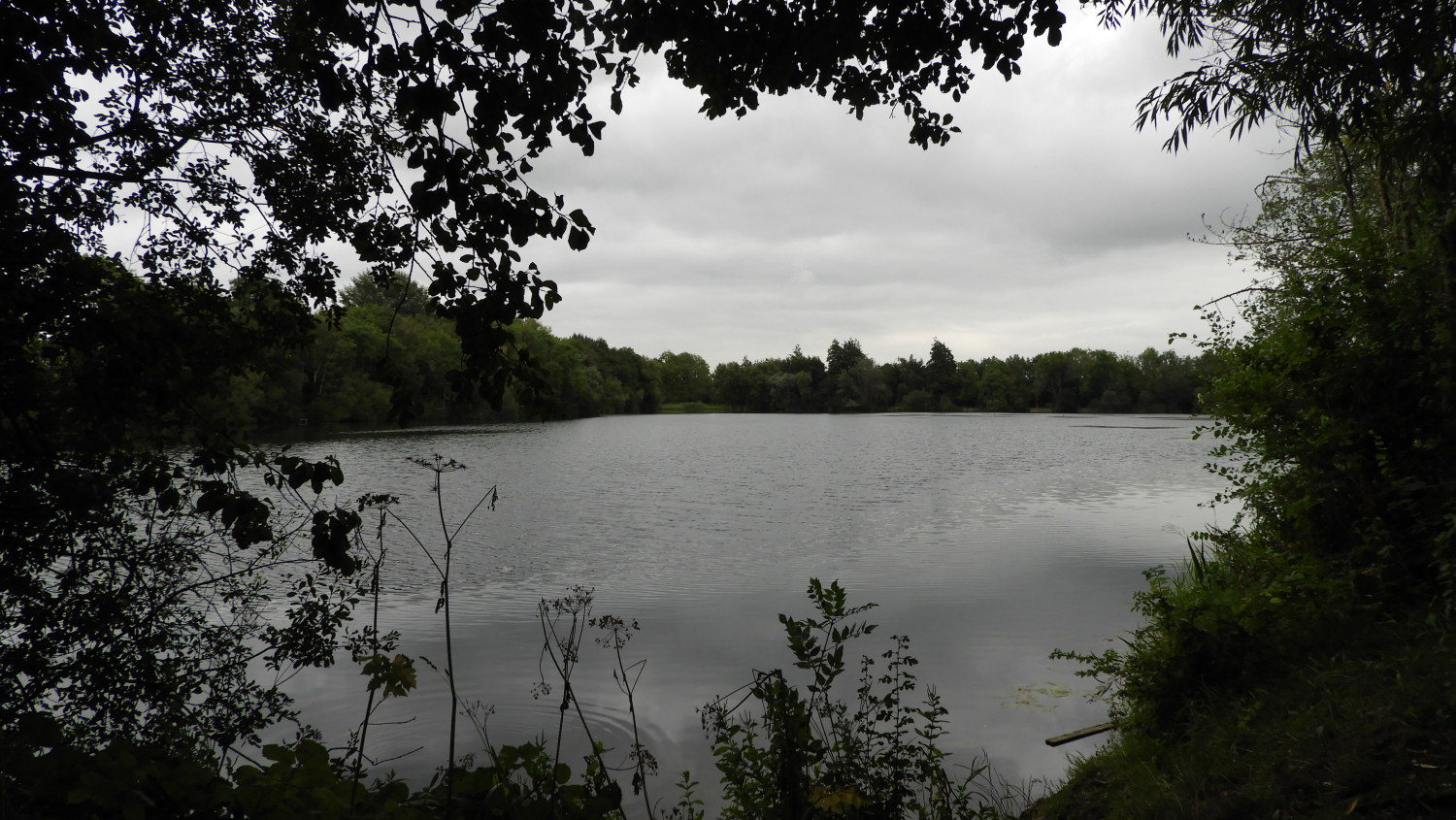 Neigh Bridge Country Park