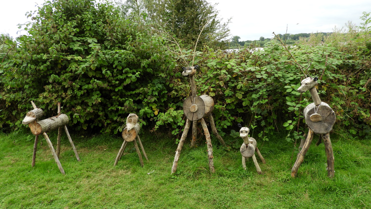 Santa's Reindeer in Cotswold Water Park