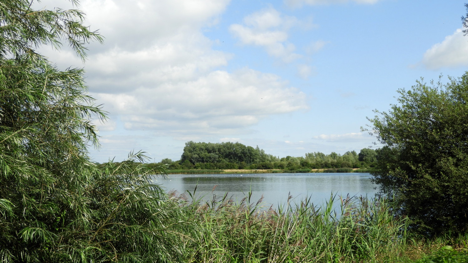 Manorbrook Lake