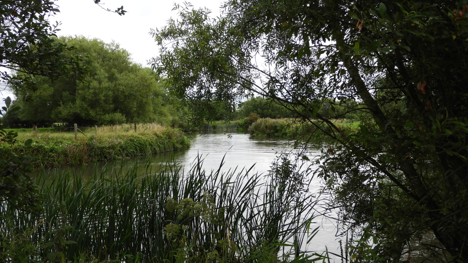 Quiet Thames side countryside