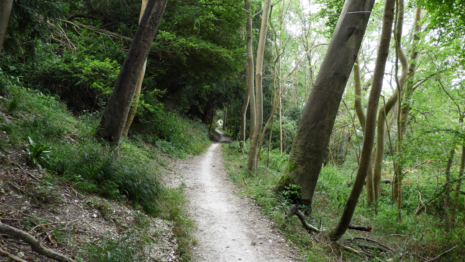 On the only climb of the Thames Path