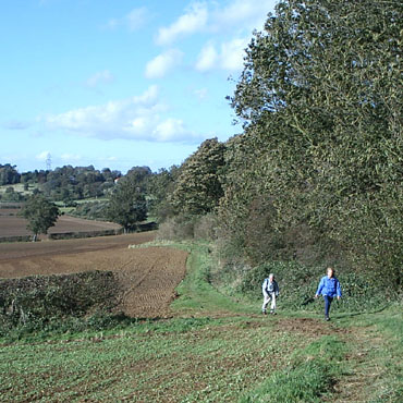 Along the ridge near Boothby Graffoe