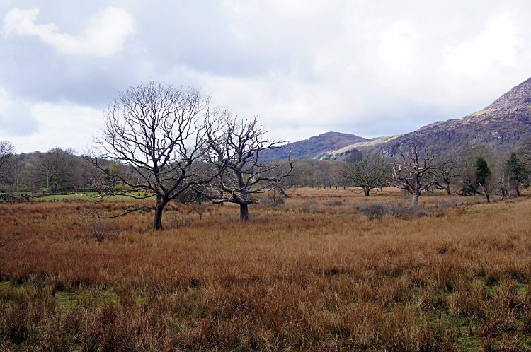 The wild lands of Gareg Bengam