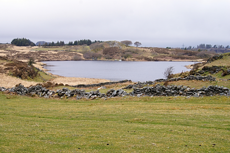 Llyn Llenyrch