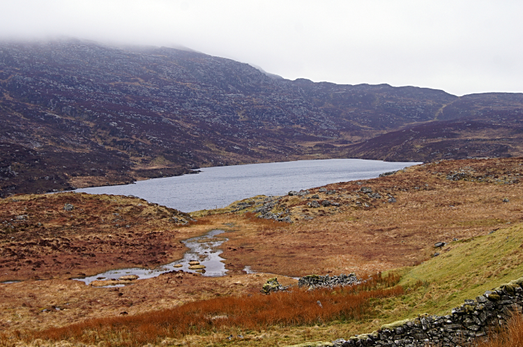 Llyn Eiddew-mawr