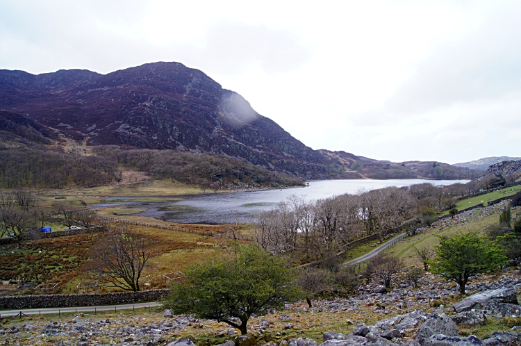 Llyn Cwm Bychan