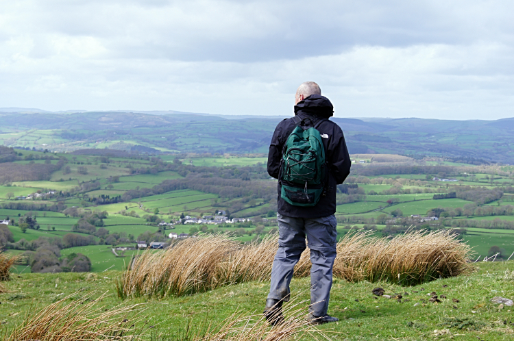 Admiring Carmarthenshire from Mynydd Myddfai