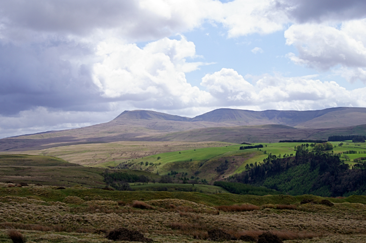 Black Mountain country