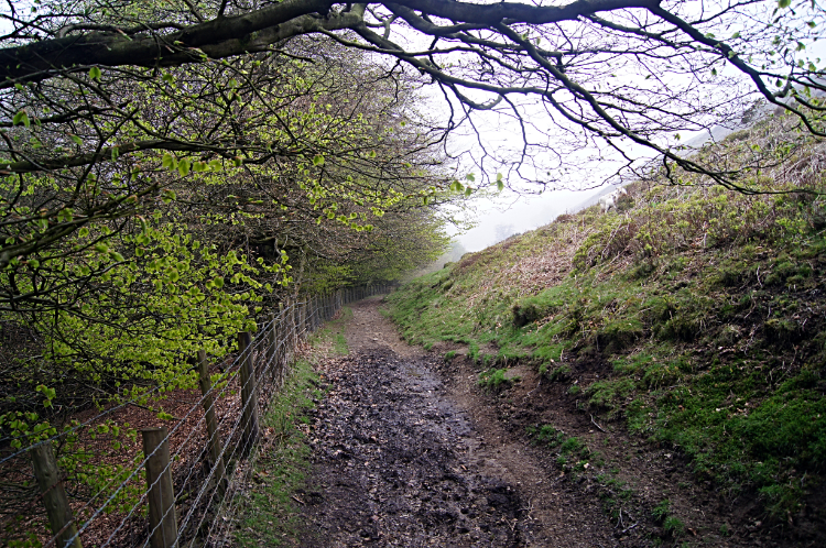 The path below Mynydd Twyn-glas