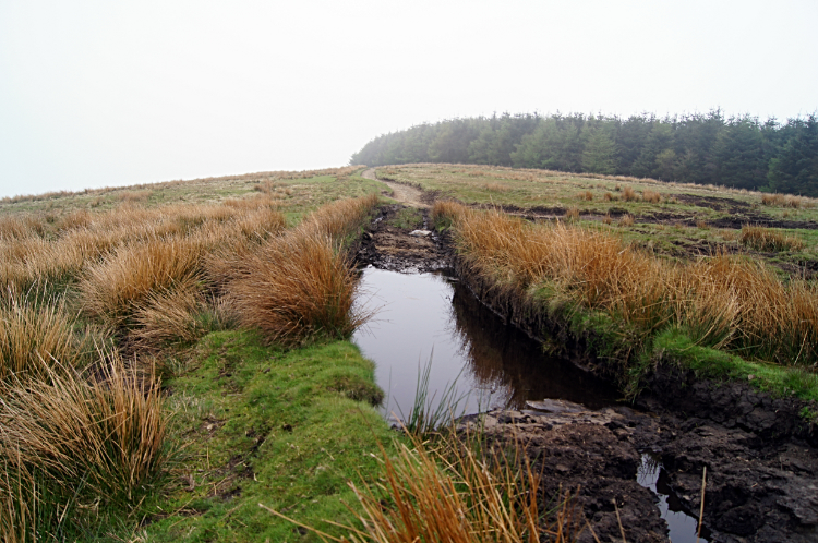 Crossing Mynydd Henllys