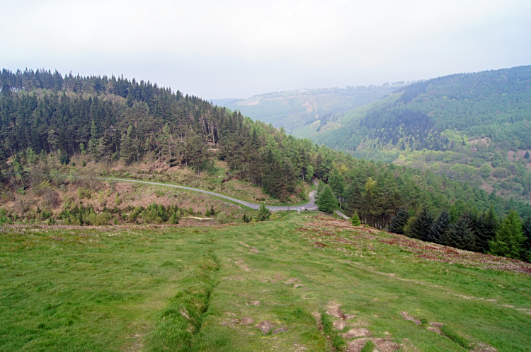 Cwmcarn Forest