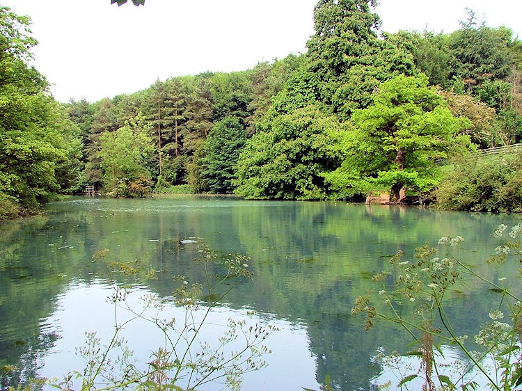 Welton Mill Pond