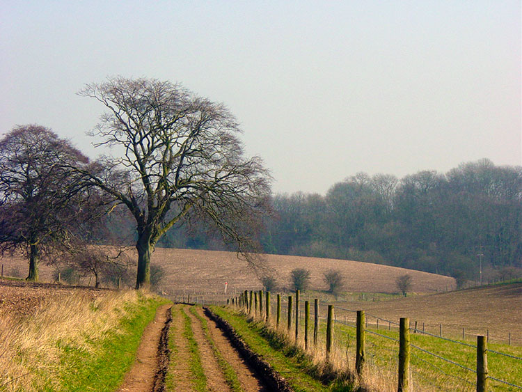 Wolds Way near Brantingham