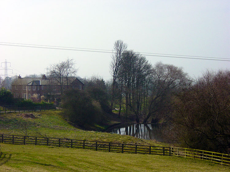 Mount Airy Farm