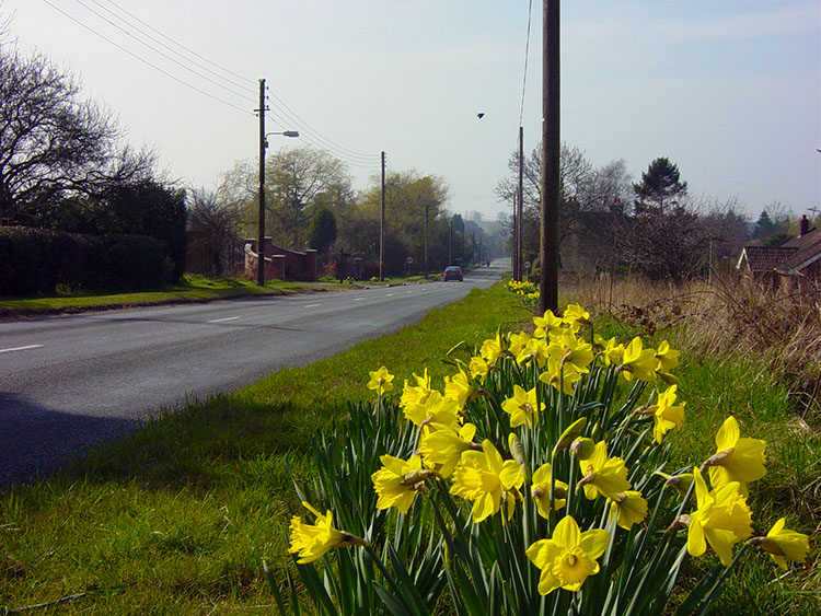 Wolds Way road crossing near South Cave