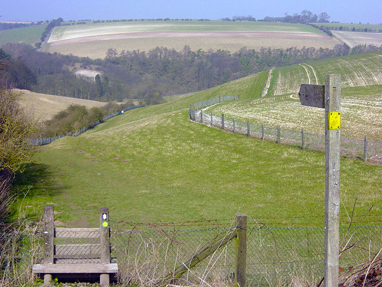 Comber Dale