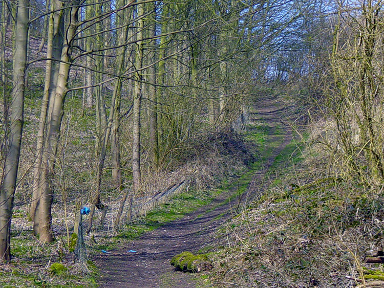 Climbing to High Hunsley