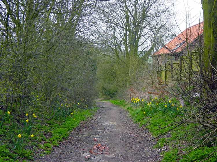 Path from Goodmanham to Beggar's Bush Well