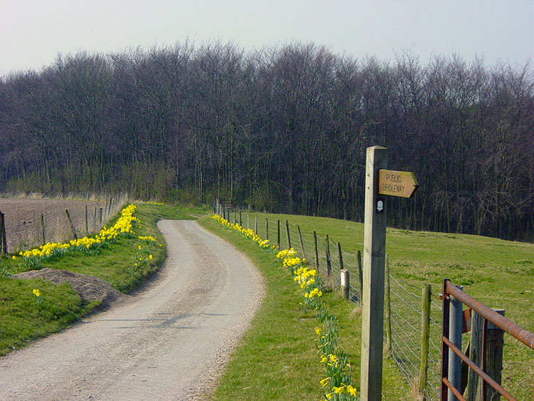 Path near Kilnwick Percy