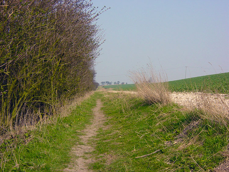 On the Chalkland Way