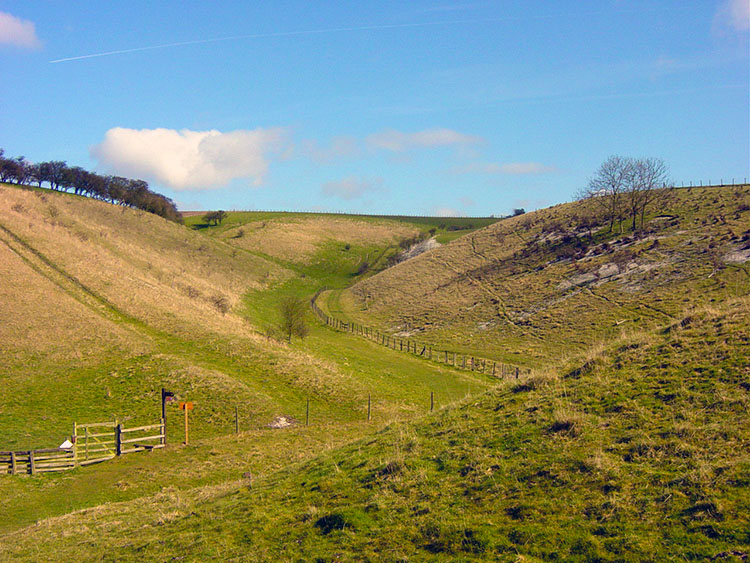 Vessey Pasture Dale