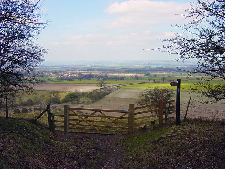 View from Basset Brow