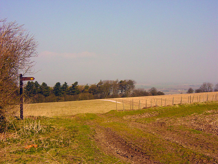 West Heslerton Brow