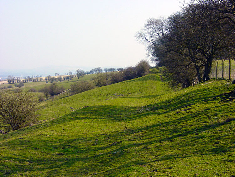 East Heslerton Brow