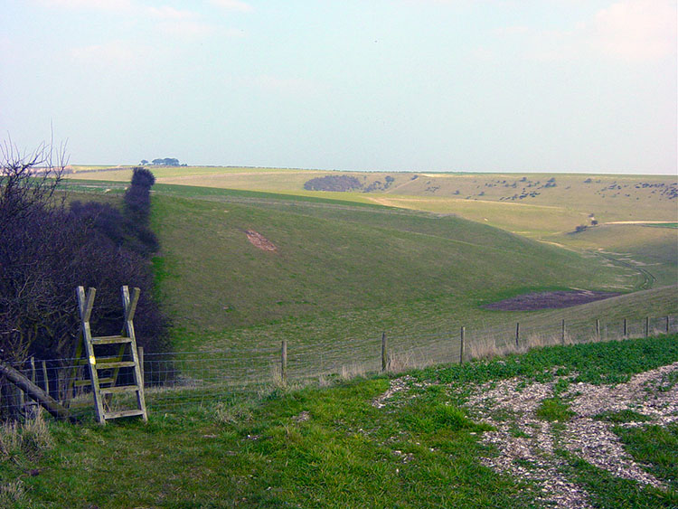 Flixton Wold