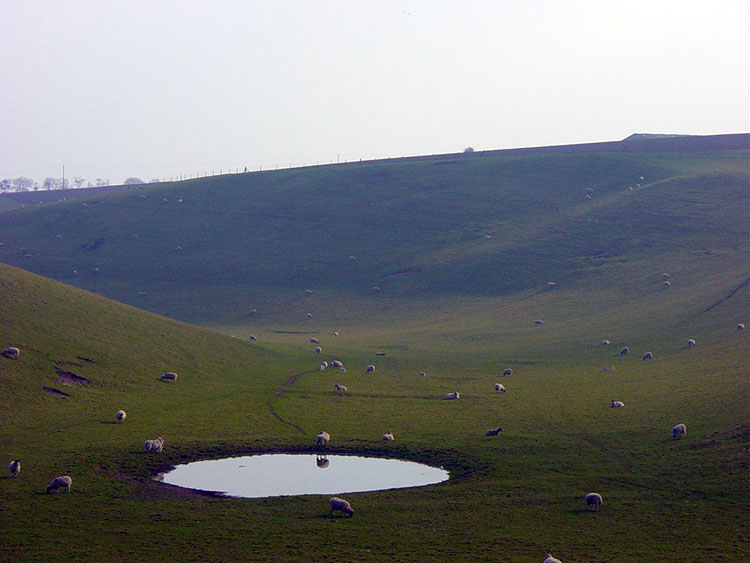 Dew Pond in Camp Dale