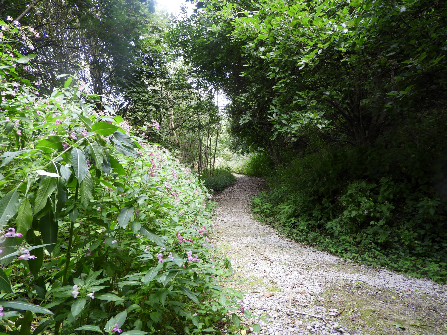 Following the Dales Way Link