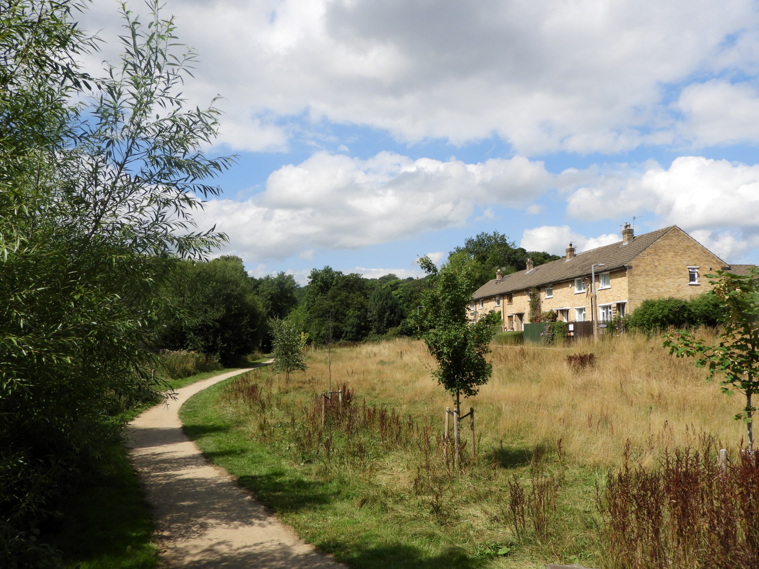 The path at Glenwood