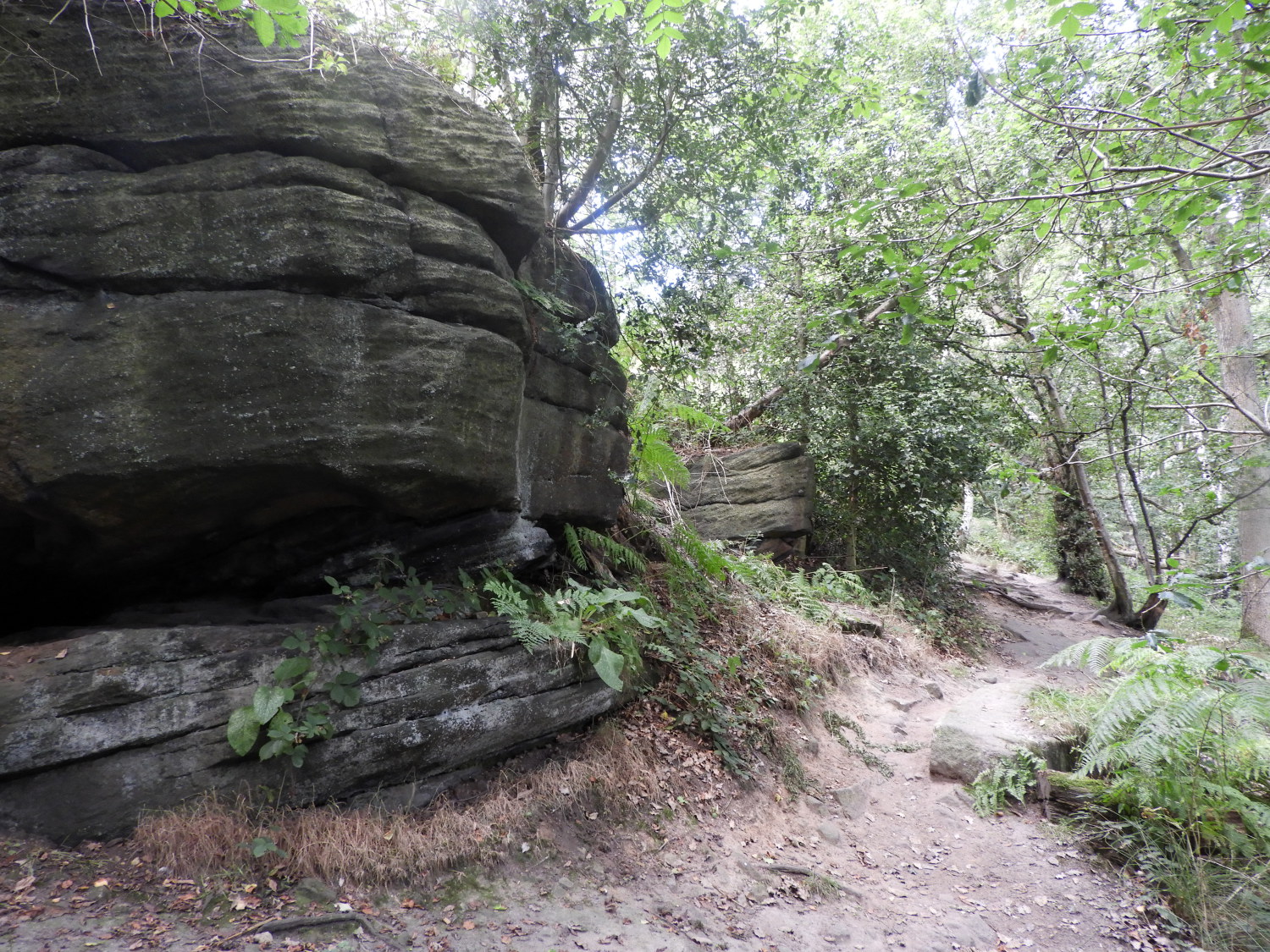 The high west side path through Shipley Glen