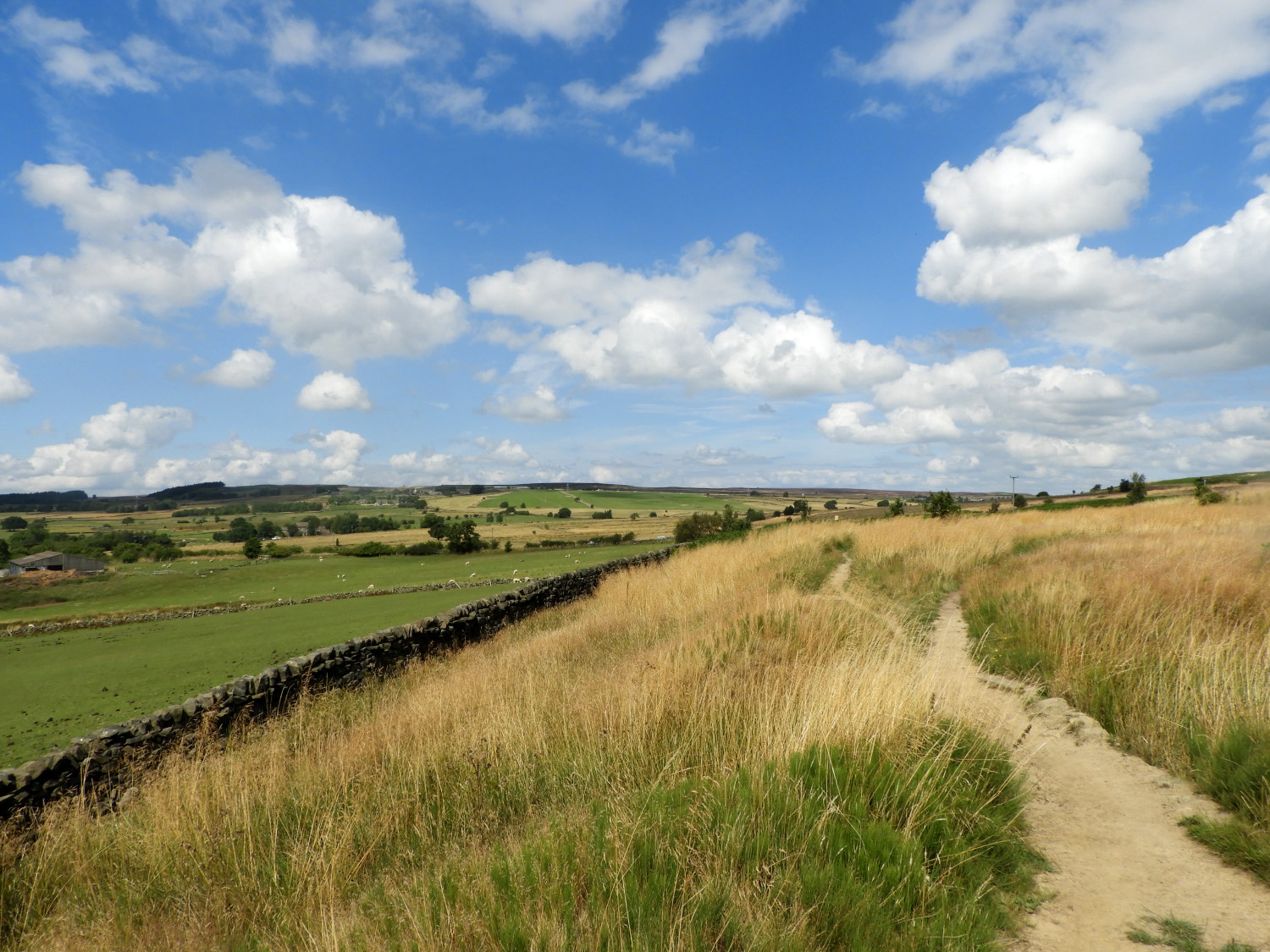 The western fringe of Baildon Moor