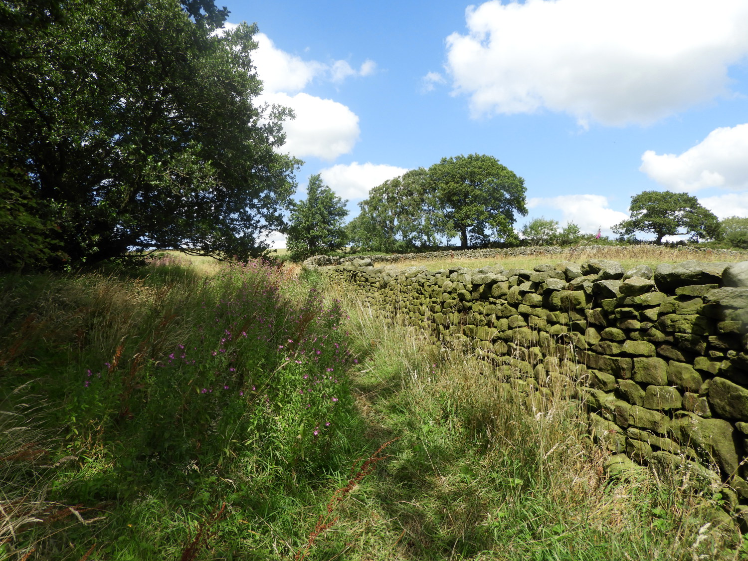 The path from Little London