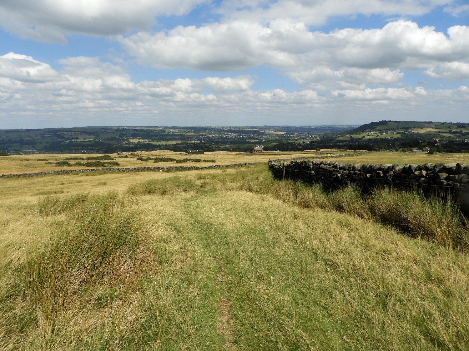 Hawksworth Moor